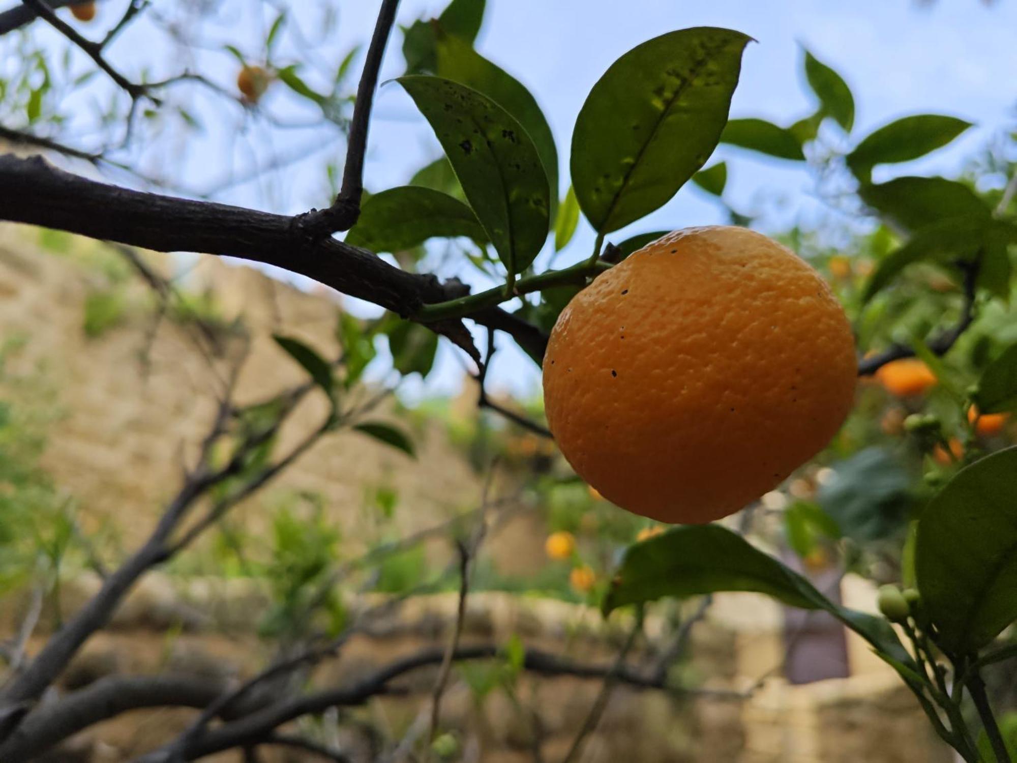Villa Amoroso - Ospitalita Mediterranea Agrigento Buitenkant foto