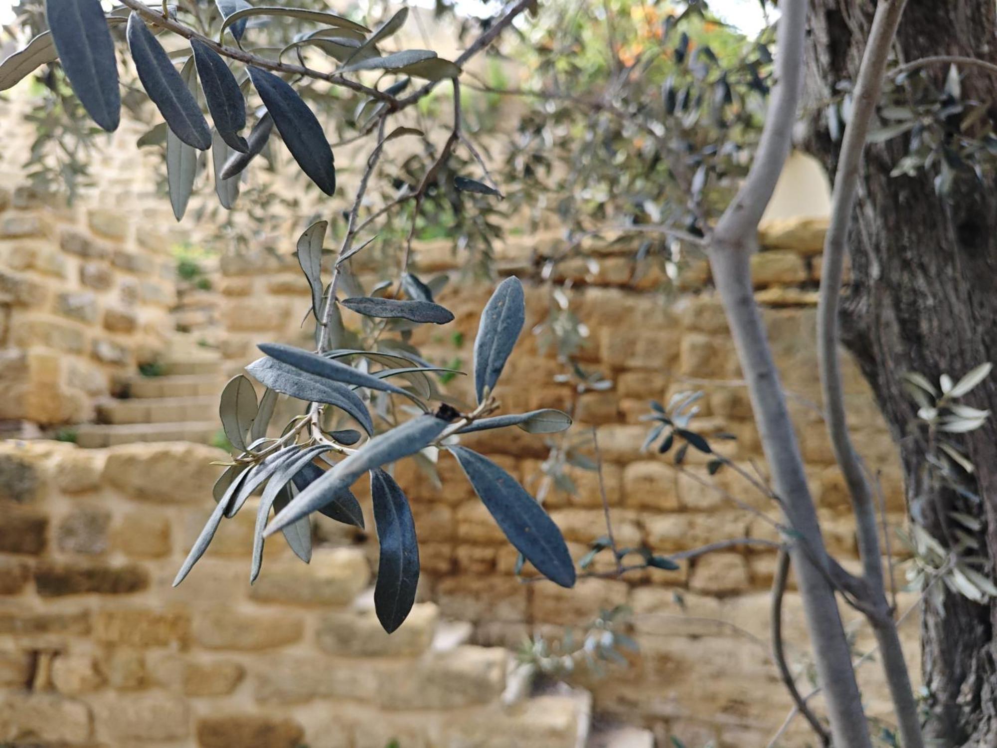 Villa Amoroso - Ospitalita Mediterranea Agrigento Buitenkant foto